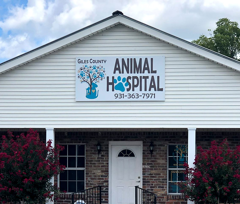 About Giles County Animal Hospital